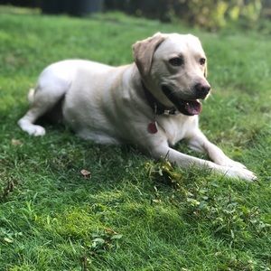 Meet your Posher, Audrey